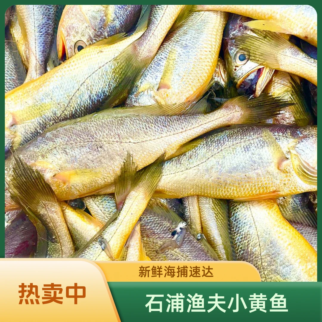 【石浦渔夫】小黄鱼宁波东海海鲜水产海货助农象山石浦顺丰冷链包邮