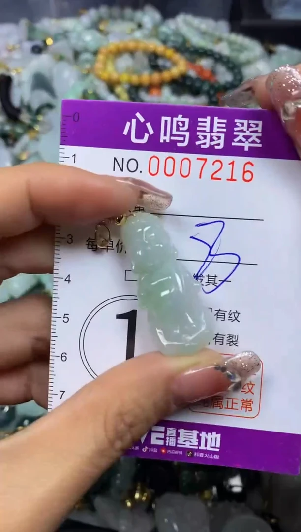 【闪购商品】翡翠颈饰未镶嵌闪购007216