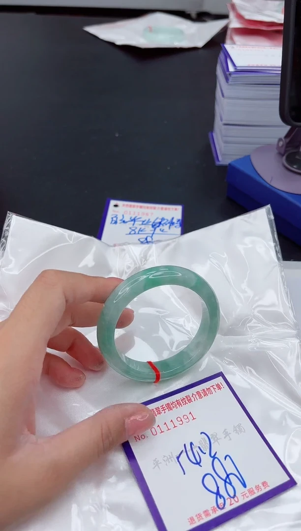 未镶嵌手镯翡翠1
