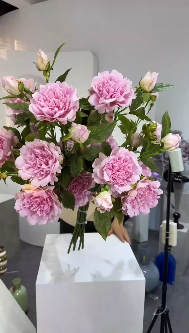 【闪购商品】藤12枝粉色牡丹花