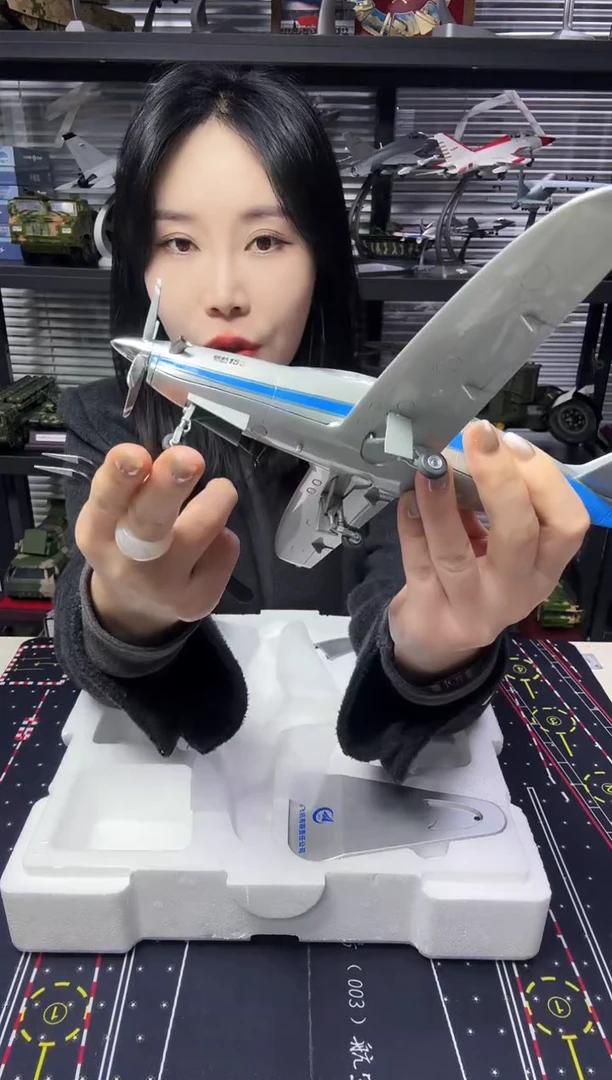 1/50领航150飞机模型