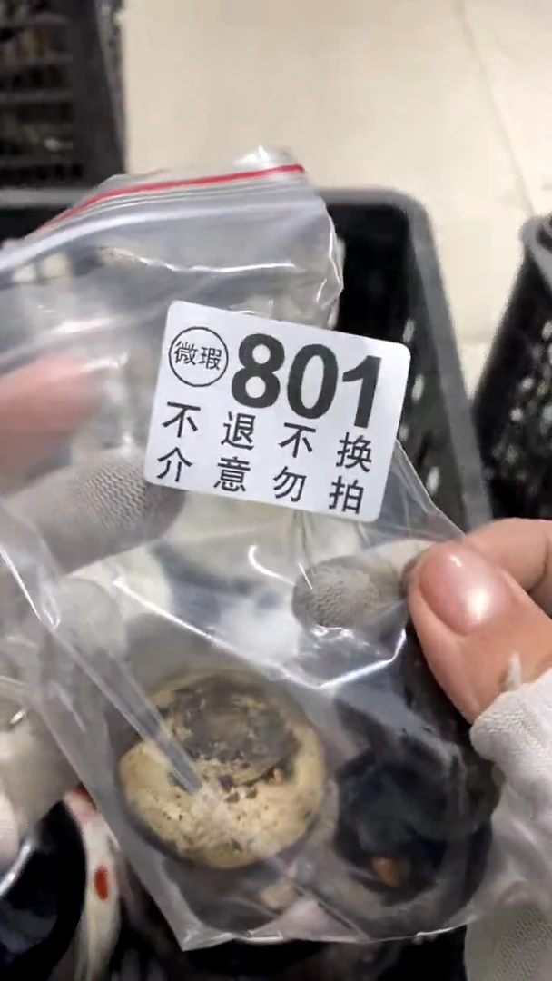 陶瓷一**松士大夫大师傅
