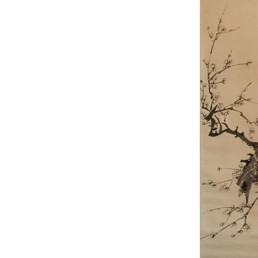 【辽拍】V240827-1-18《梅花》（2.3平尺）纸本镜片 ws19