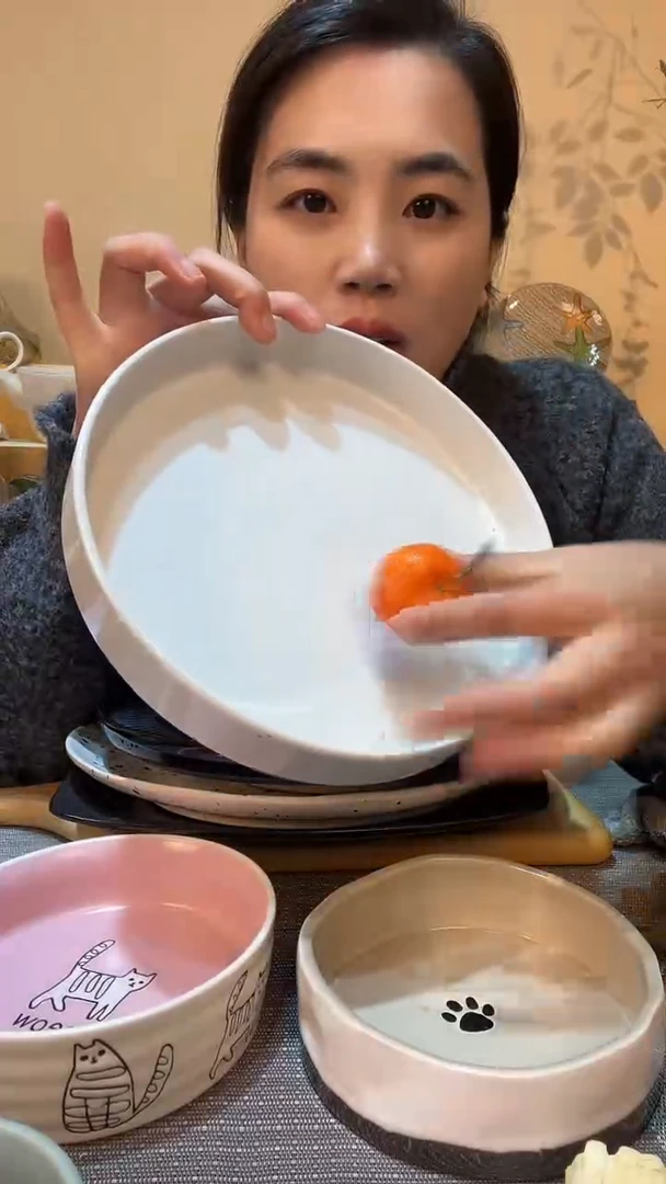 【闪购商品】瓷片9英寸深盘 微瑕介意勿拍