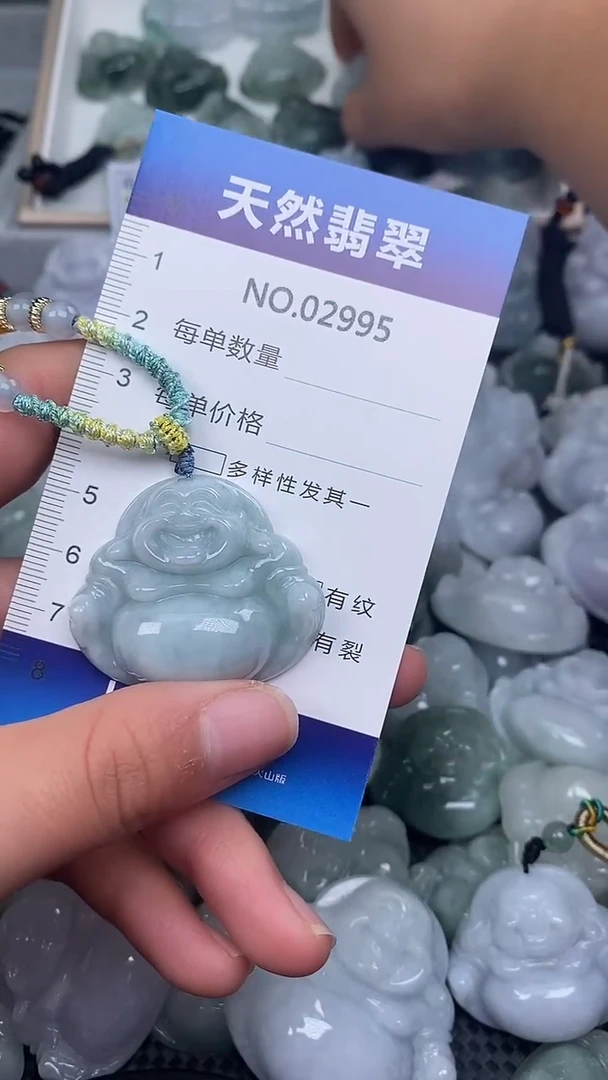 颈饰未镶嵌翡翠纯天然A货翡翠2995