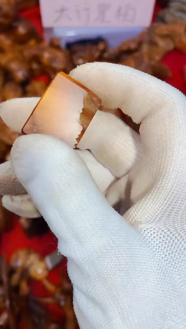 柏木（崖柏）49太行崖柏陈化手把手串