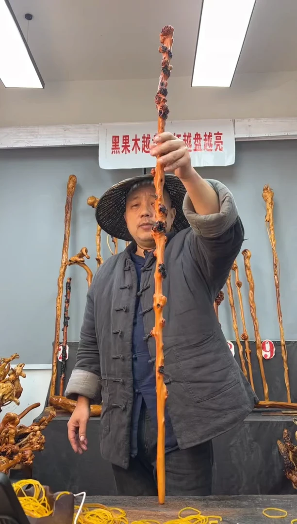 【闪购商品】黑果木其他黑果木455