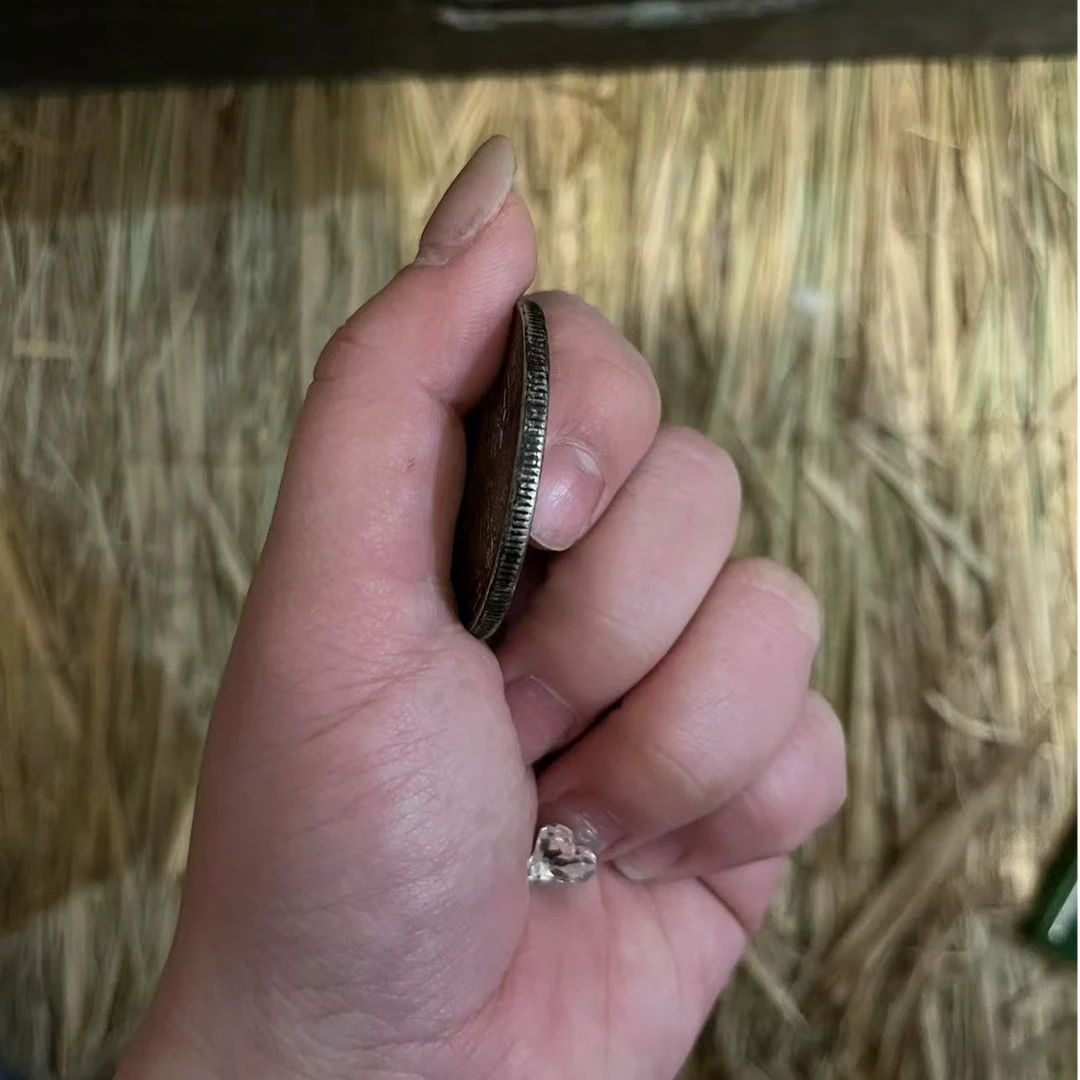 居家摆件 fl 光头 居家摆件