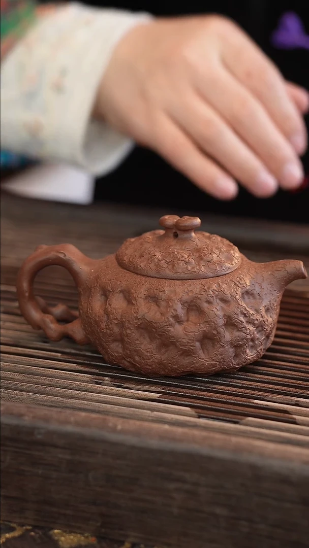 茶壶紫砂供春 变色龙 170cc