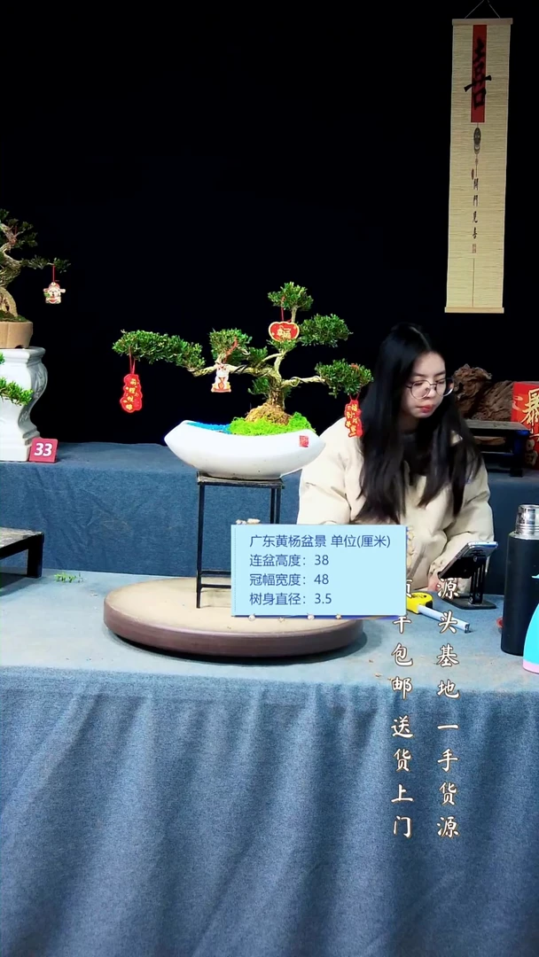 【闪购商品】黄杨盆景黄杨盆景