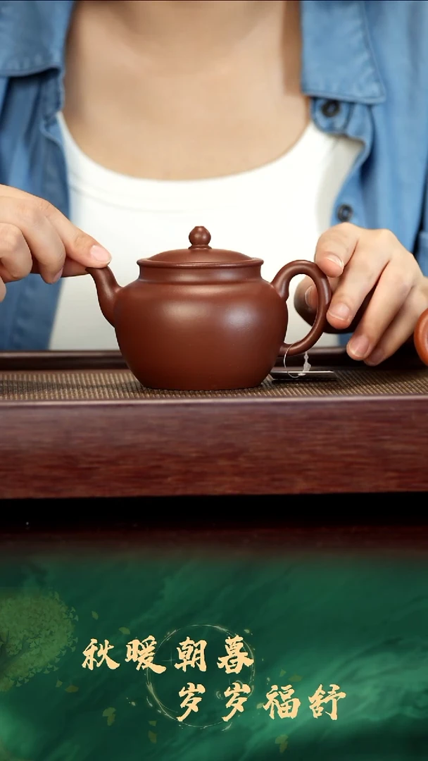 茶壶紫砂大蕴宫灯46