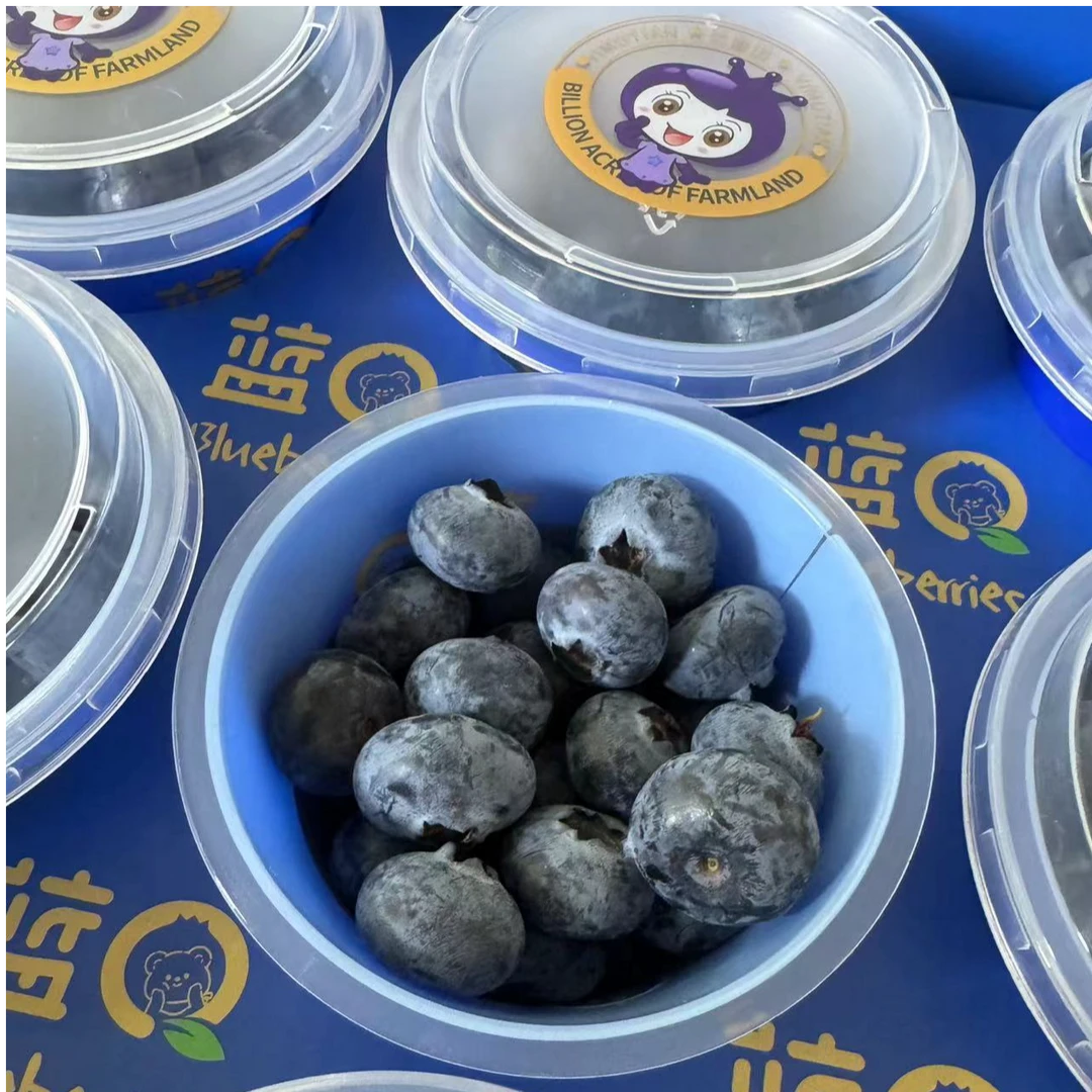 顺丰包邮能量杯蓝莓12盒装18+浙江省