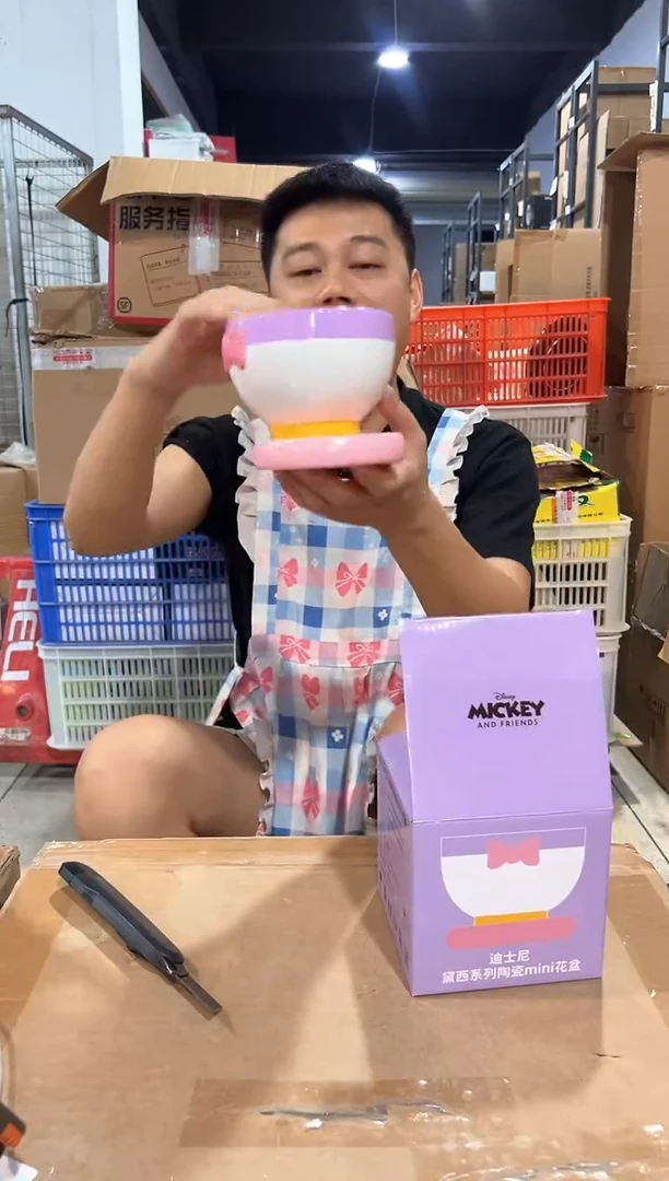 瓷片原盒黛西花盆