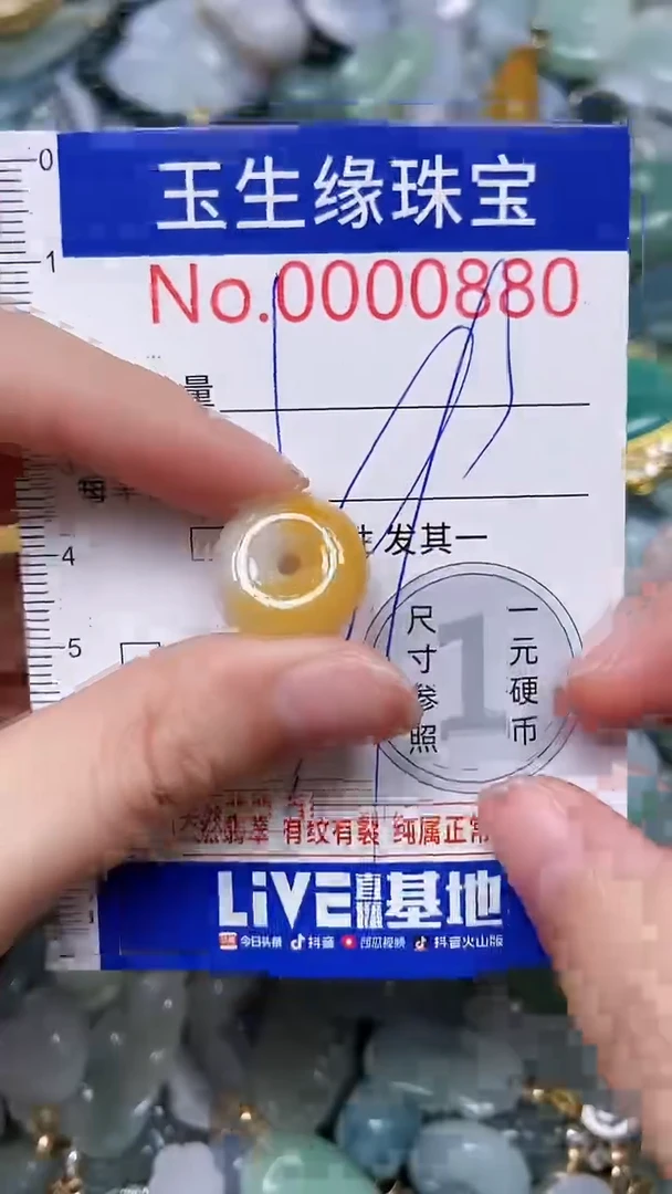 【闪购商品】翡翠颈饰未镶嵌闪购0000880