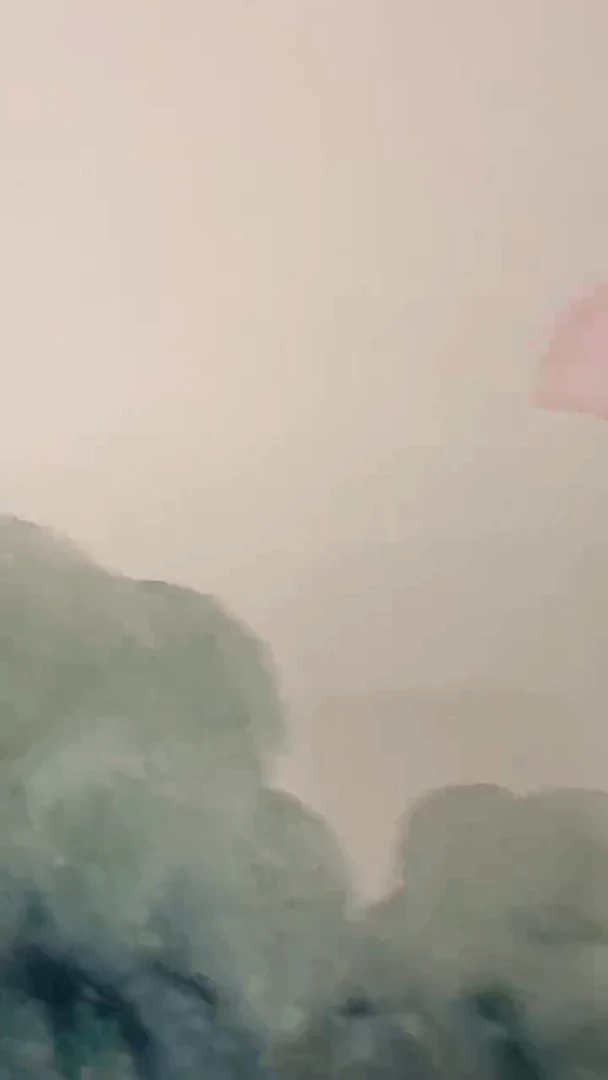 国画李纲-2.7平尺-花鸟国画
