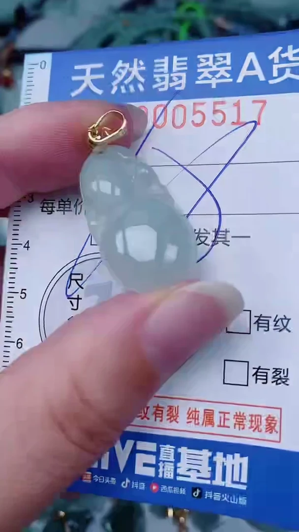 翡翠未镶嵌颈饰00005517