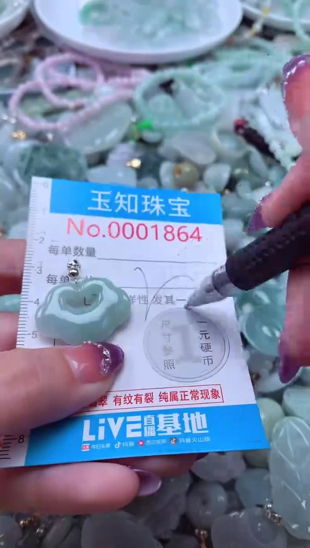 翡翠未镶嵌吊坠(不含链)1864