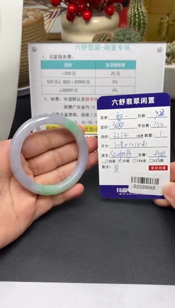 未镶嵌手镯翡翠歌*D2520065