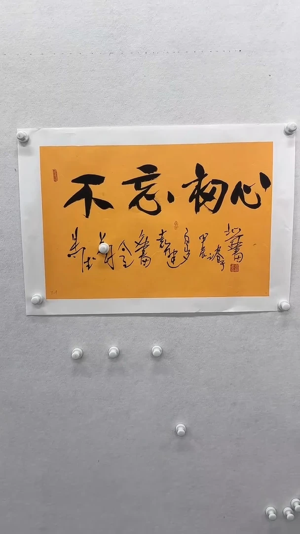 书法 悲鸿艺术/袁老师/书法