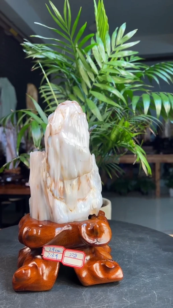 未镶嵌硅化玉（树化玉）珠宝奇石0155