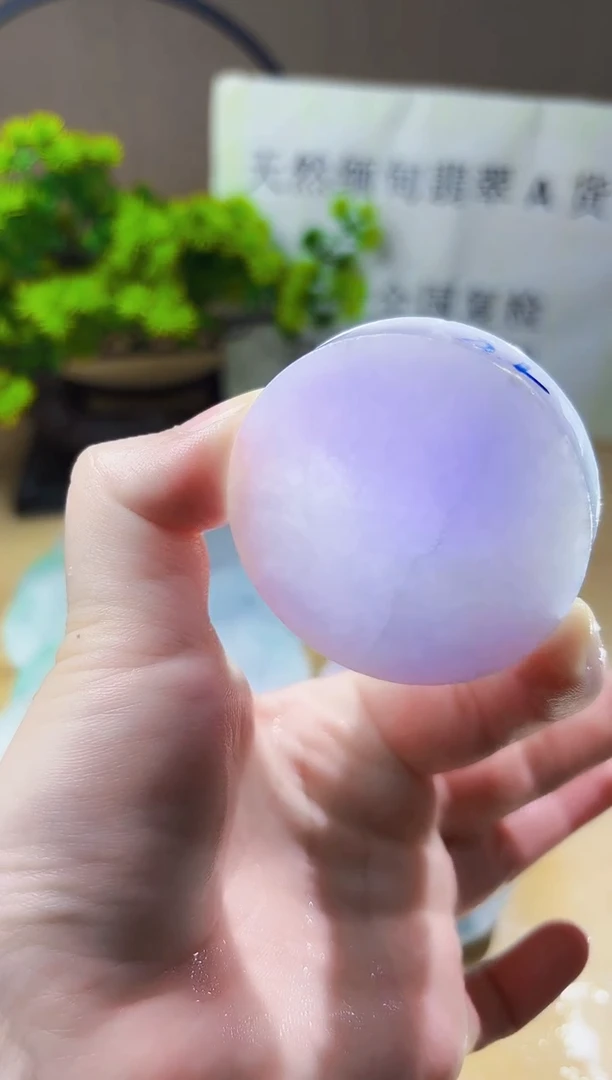 颈饰未镶嵌翡翠翡翠A货 丹 860