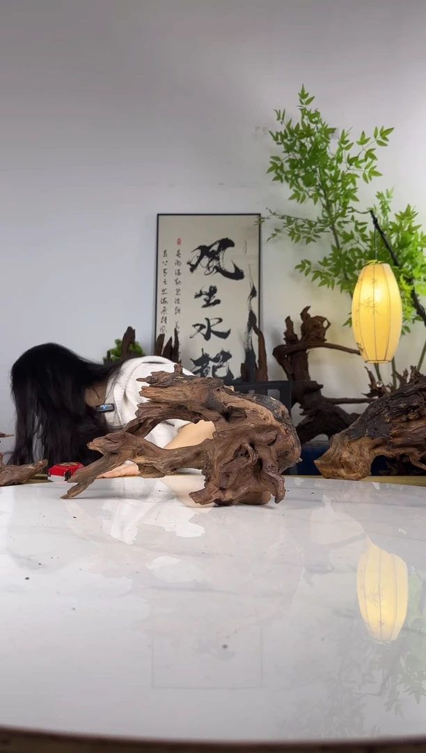 X*生拍这个定向编号33