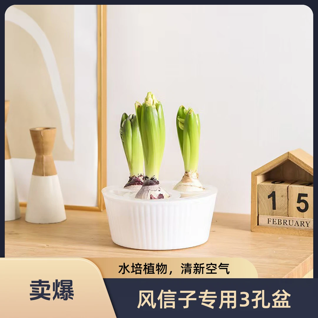 风信子洋水仙专用三孔花盆水培盆懒人种球专用水培育苗懒人花盆