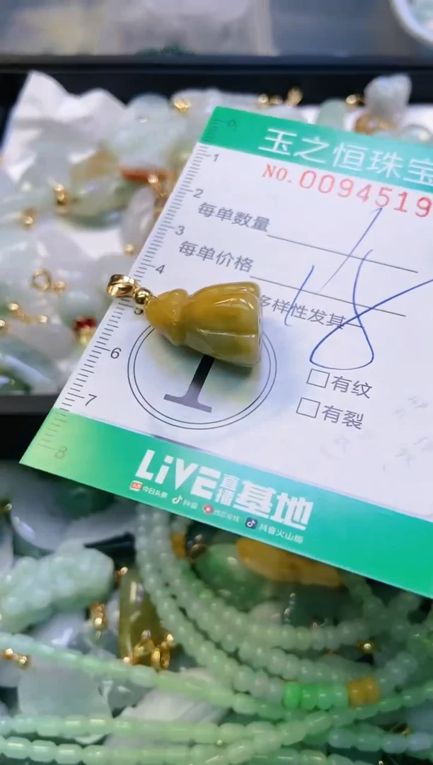 翡翠未镶嵌颈饰闪购0094519