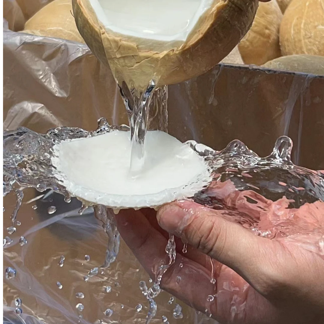 泰国进口椰皇香甜清澈【坏果包赔】只做新票 发顺丰