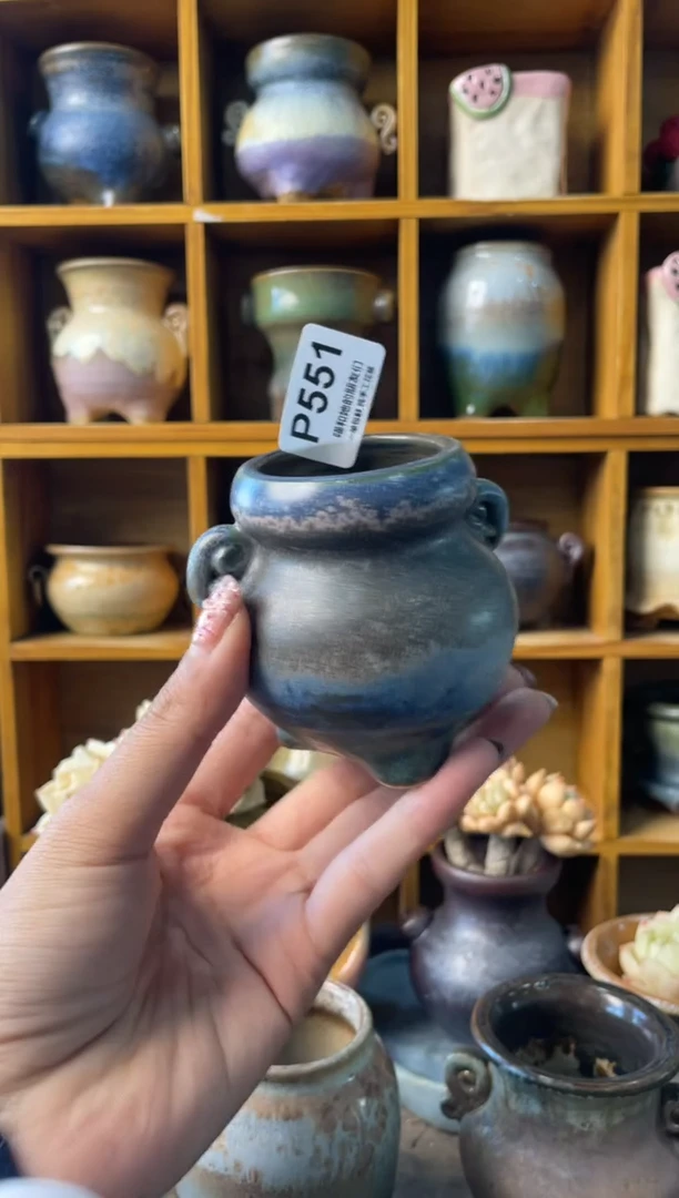 551内口4【多肉花盆多肉盆】