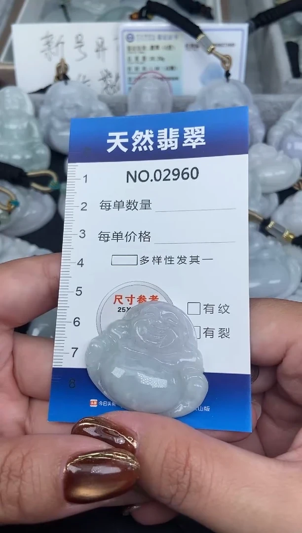 颈饰未镶嵌翡翠纯天然A货翡翠2960