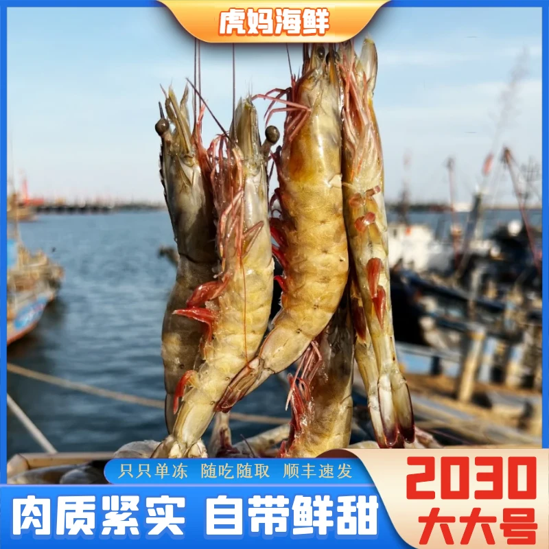 【虎妈海鲜】2030规格海虾新鲜鲜甜海洋大虾海鲜约45只3.5斤左右