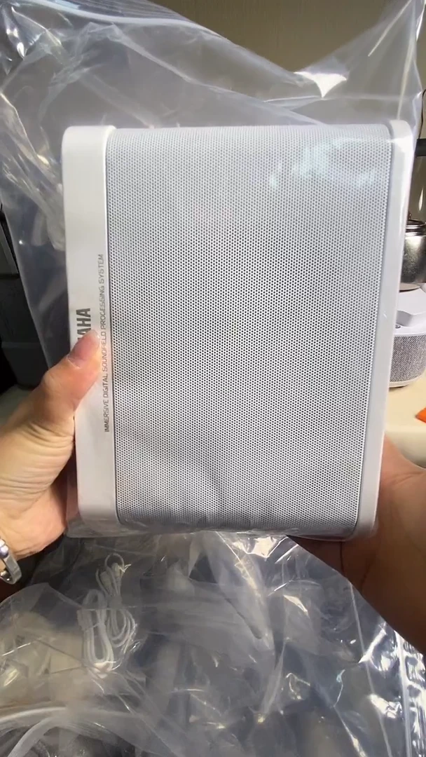 风**舟白色唱歌带麦克