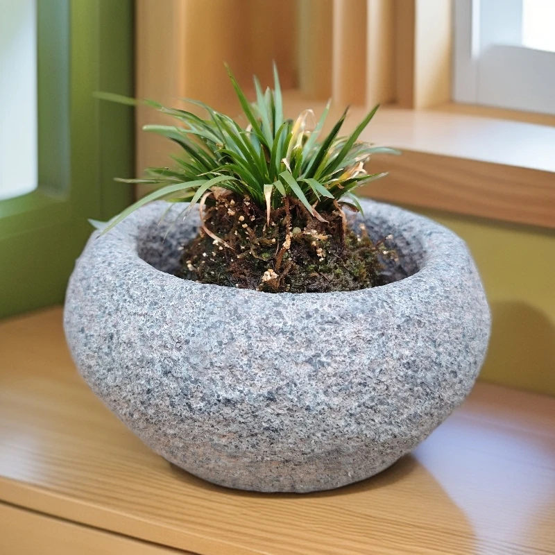 中式复古仿石小石缸水培花缸盆景家用茶室摆件器皿家居阳台办公室