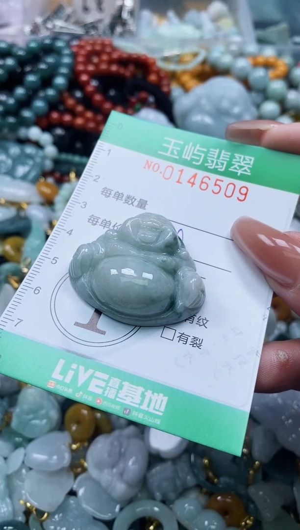 翡翠未镶嵌颈饰闪购0146509