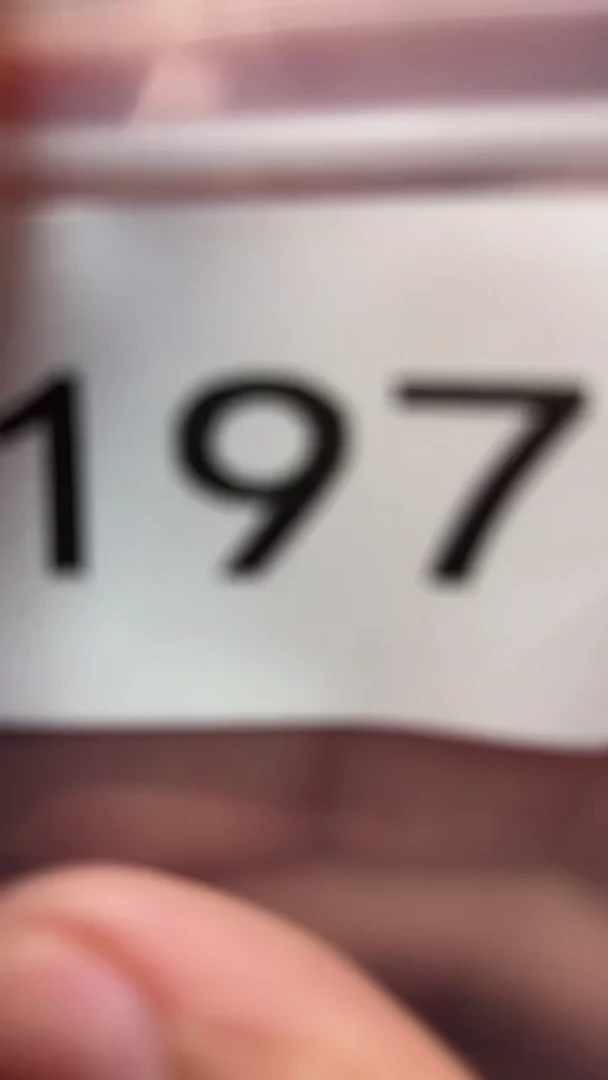 直接去拍      漂亮       漂亮        漂亮