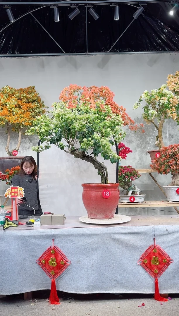 【闪购商品】盆景绿叶樱花