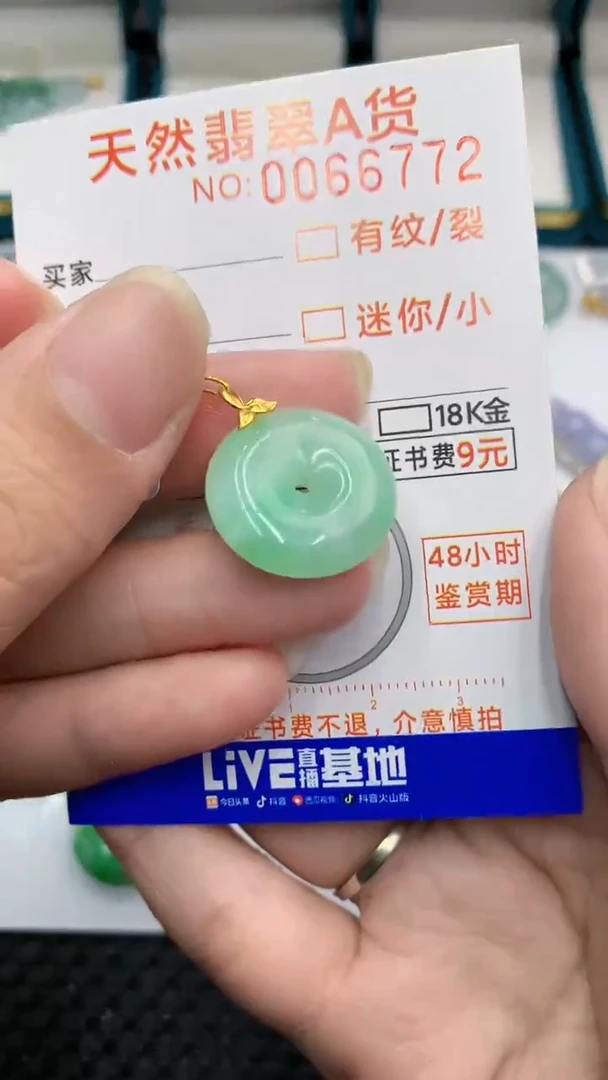 【闪购商品】翡翠颈饰18K金镶嵌            8