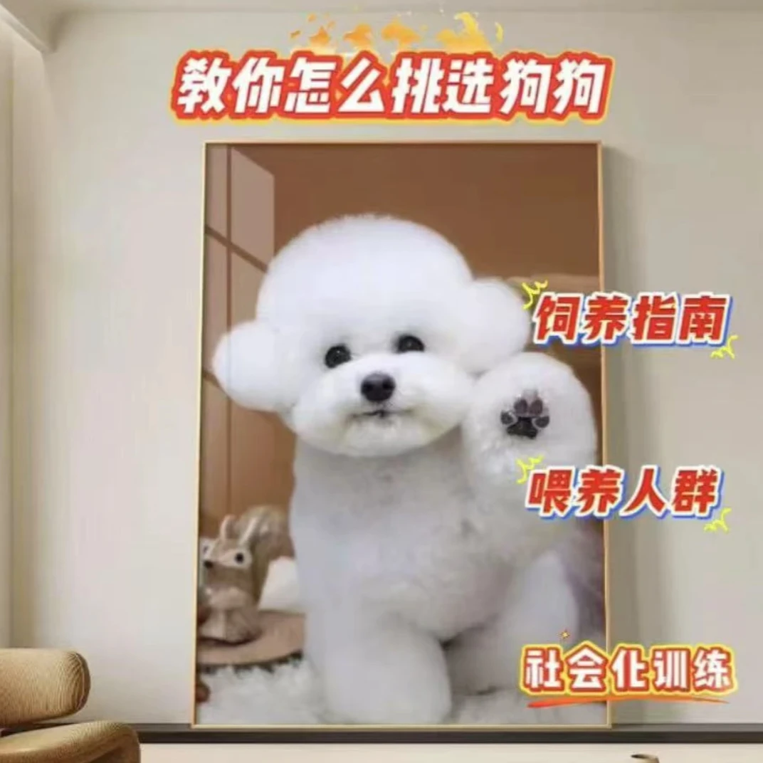 相册本家庭大容量400张567寸混装相插页式七寸过塑200张纪念册