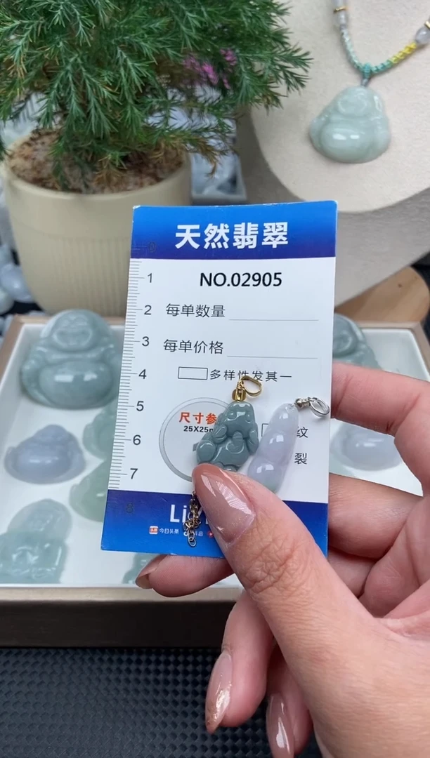 颈饰未镶嵌翡翠纯天然A货翡翠2905