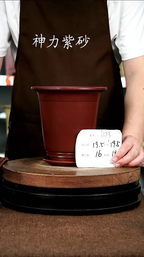 紫砂花盆花卉园艺6373+Z