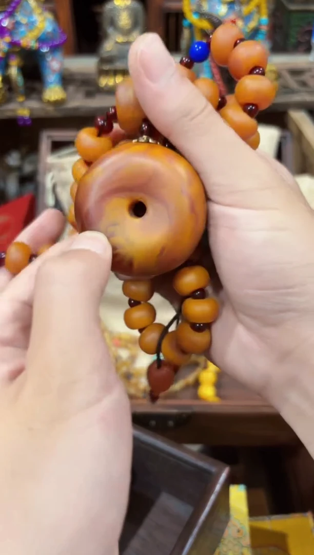 香榧木------------------