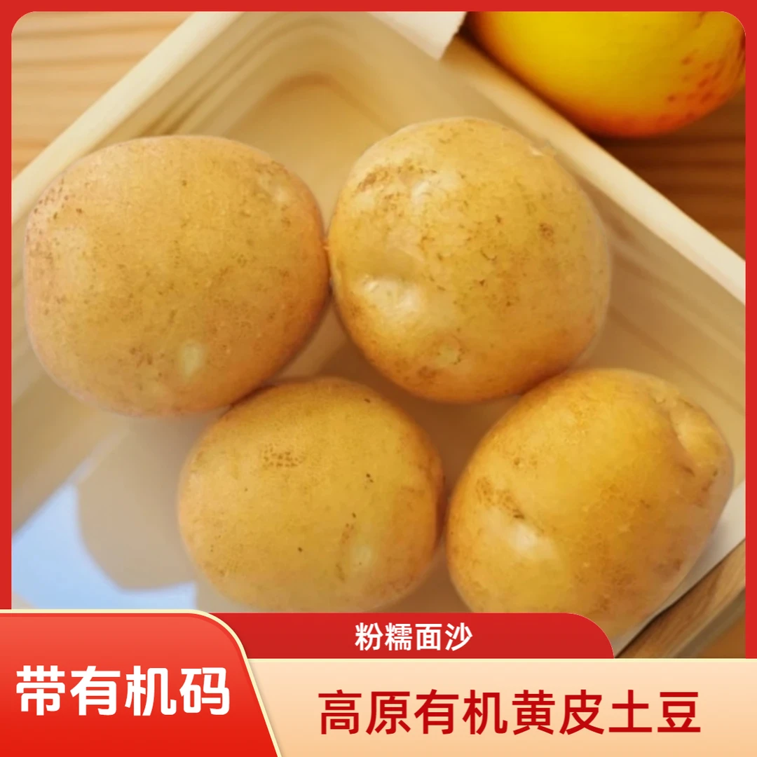 宁夏西吉高原白皮有机土豆小果7斤(李琬有机菜)有机蔬菜
