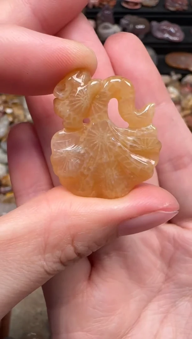 颈饰未镶嵌硅化珊瑚（珊瑚玉）609