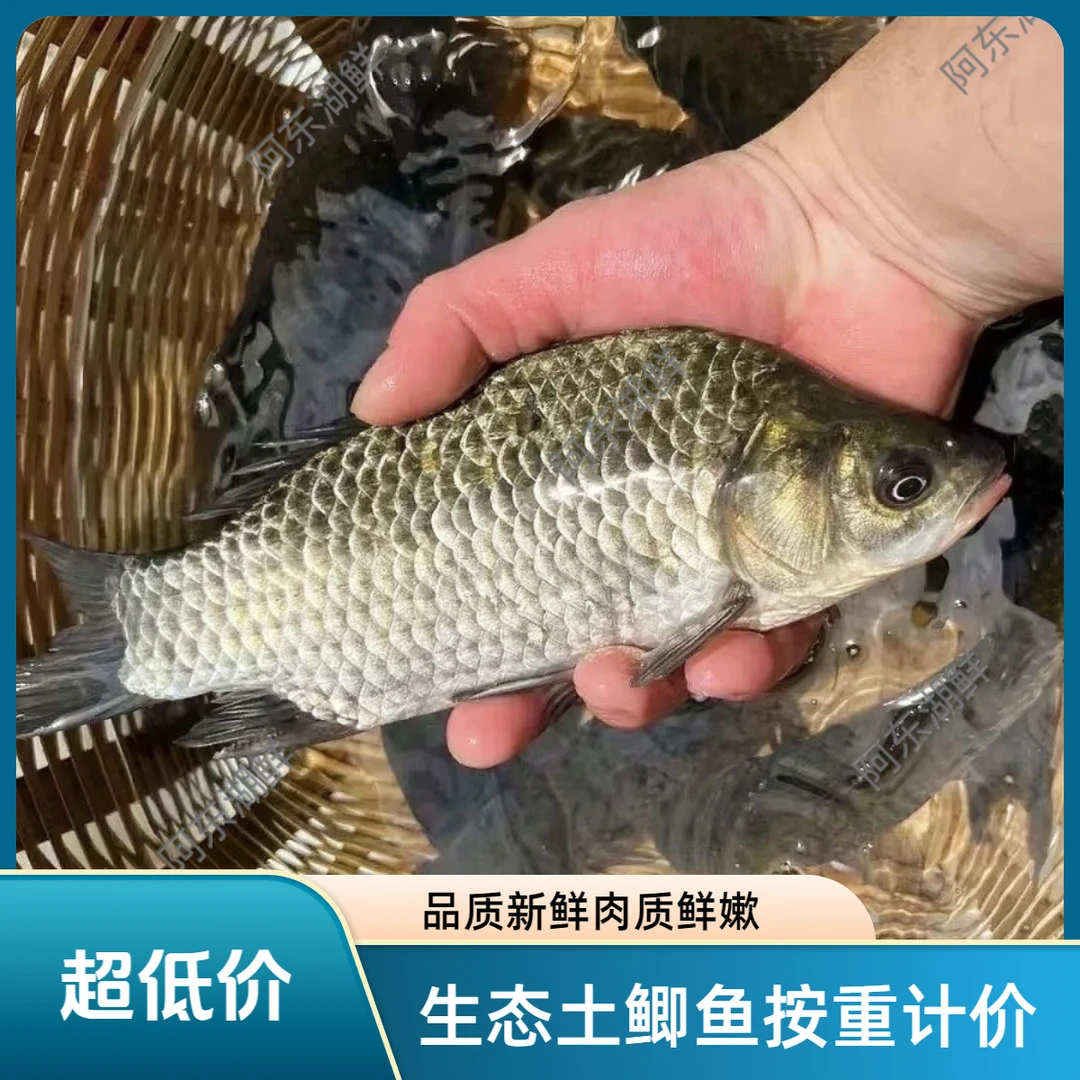 生态鲫鱼按重计价，拍前沟通改价