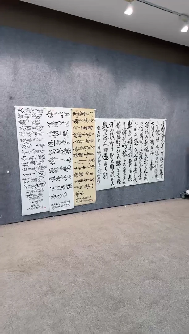 【闪购商品】书法pmb不二轩旗舰店国画SDG6