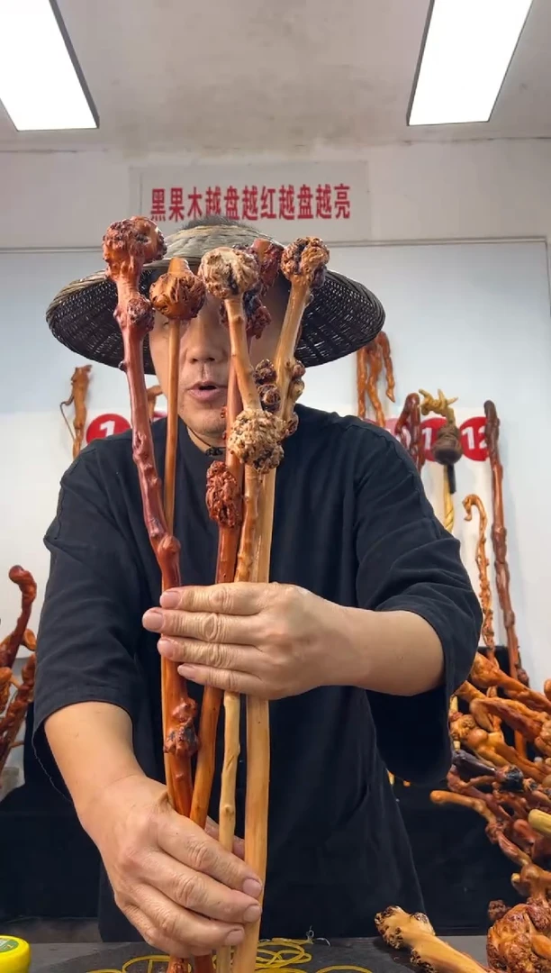 黑果木其他黑果木232