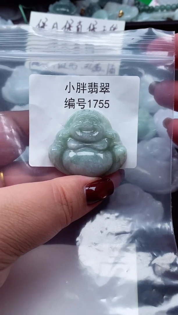 颈饰未镶嵌翡翠缅甸天然A货翡翠1755