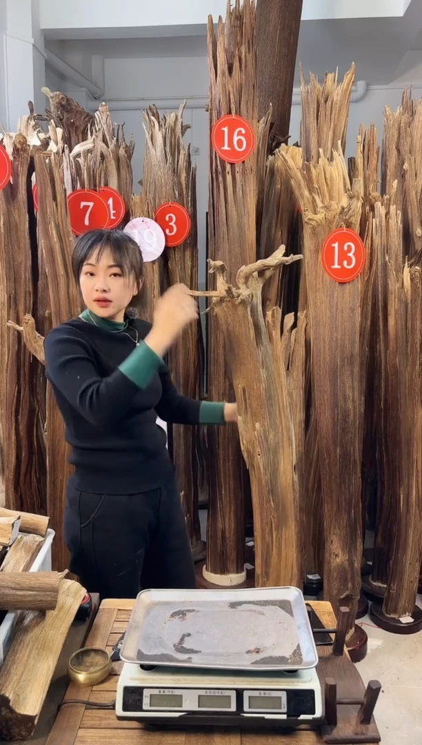 【闪购商品】沉香摆件沉香摆件多样性发一件51