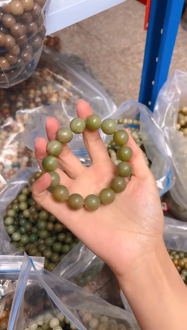 吊坠菩提根/象牙果F15  F15